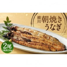 朝焼きうなぎ 2尾入 約150g×2 合計約300g タレ・山椒各3袋