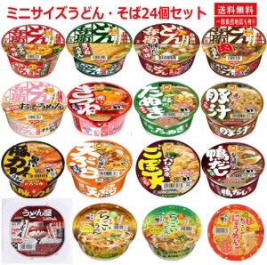 新着 カップ麺ミニサイズうどん・そば24個セット日清食品 東洋水産 五木食品 東京拉? 関東圏送料無料