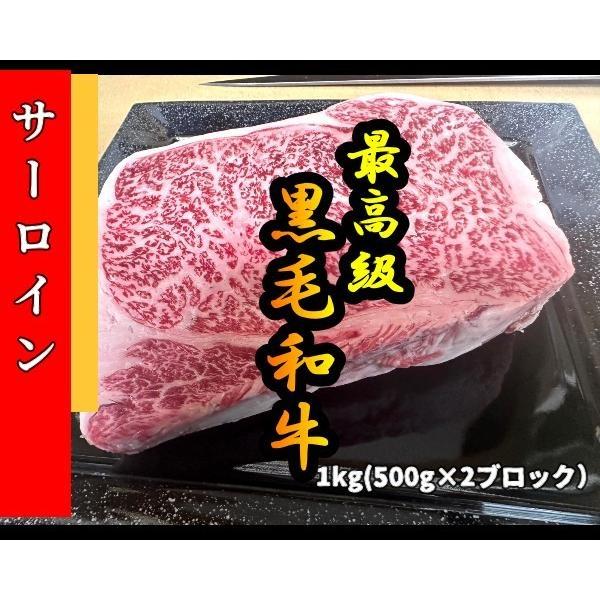 牛肉 黒毛和牛 霜降り サーロイン ブロックカット 1ｋｇ 500ｇ×2ブロック入 塊肉 サーロインステーキ ステーキ肉 ローストビーフ BBQ  お取寄せグルメ