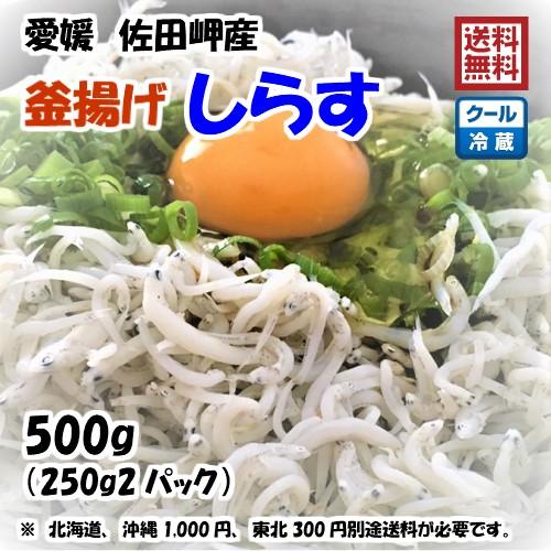 釜揚げしらす 500g （250g×2p）愛媛 佐田岬産 冷蔵便 浜から直送 無添加・無着色 送料無料 北海道・沖縄・東北は別途送料 宇和海の幸問屋