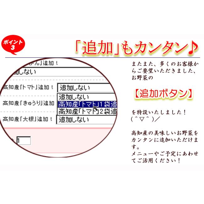 野菜セット たまご 同梱可 とれたて野菜 ８種類セット 高知産 レシピ・追加機能 送料無料 [Qv10] 詰め合わせ クール便 新鮮 葉物 根菜 香味