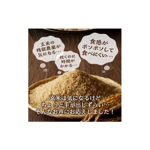 ふるさと納税 静岡県 焼津市 b21-001　令和5年産新米　かんたん玄米 無農薬 肥料不使用 2kg×12回