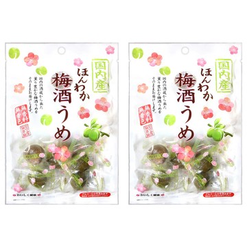 野澤 梅酒梅  日本產  無著色  190g  2袋