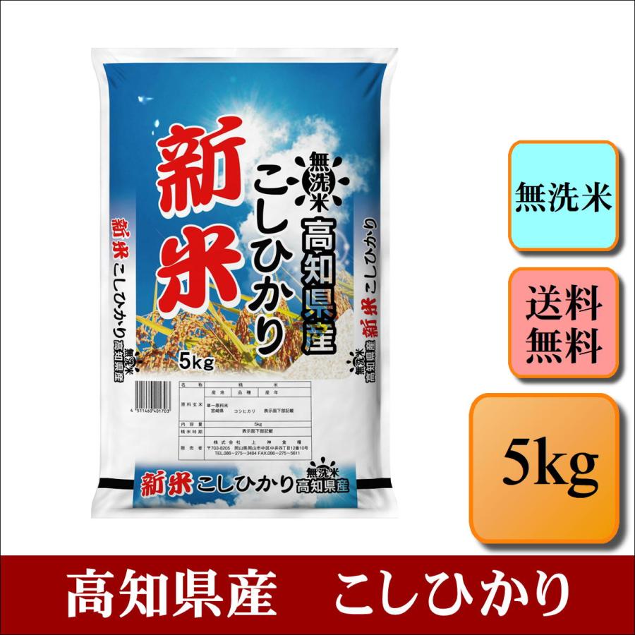 新米　無洗米　令和５年産　高知県産　こしひかり　5kg　米　お米　おこめ　白米　精米　