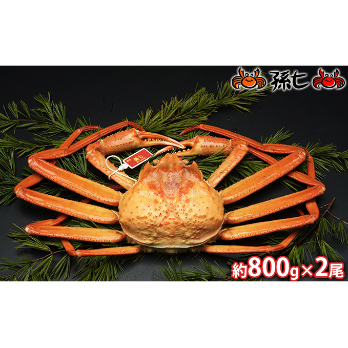 紅ズワイガニ約800g×2尾（孫七タグ付）