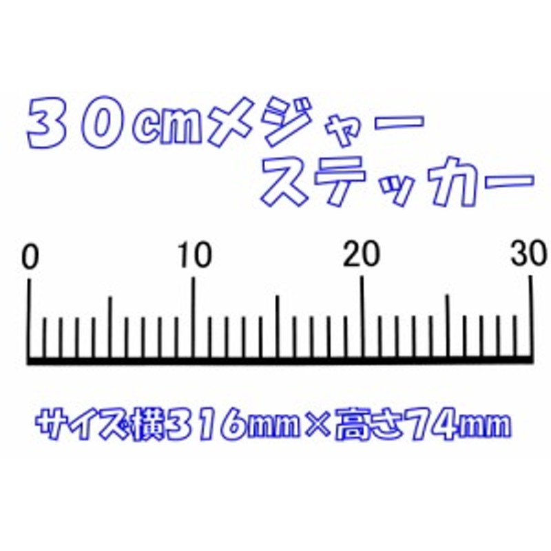 ３０cmメジャーステッカー 釣りステッカー フィッシングステッカー 釣りツール 釣り道具 フィッシング便利グッズ フィッシングメジャー 通販 Lineポイント最大1 0 Get Lineショッピング