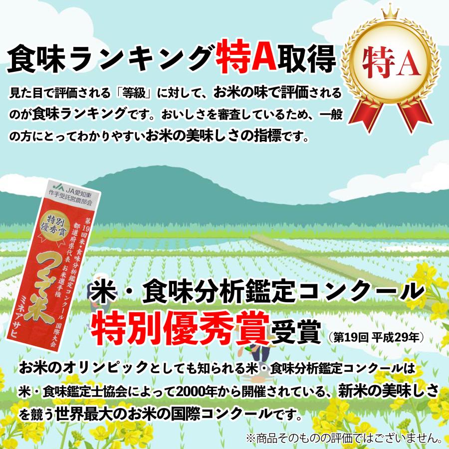 米 お米 10kg 愛知県産 ミネアサヒ 白米 10キロ 令和5年産 5kgx2袋 精米 送料無料