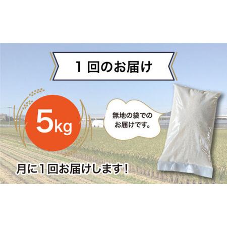 ふるさと納税  栽培期間中 農薬不使用のお米 ヒノヒカリ 5kg 糸島市 シーブ 米 定期便[AHC041] 福岡県糸島市