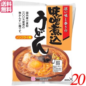 うどん 国産 桜井食品 味噌煮込みうどん 94g 20袋セット 送料無料