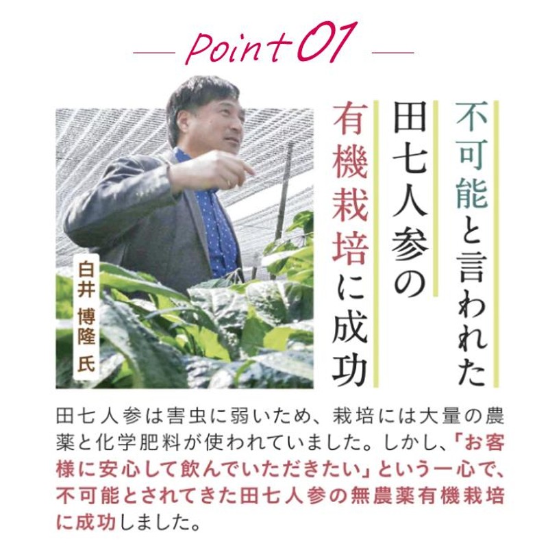 3袋セット】田七人参 白井田七 240粒入り パウチタイプ 和漢の森 尿酸 ...