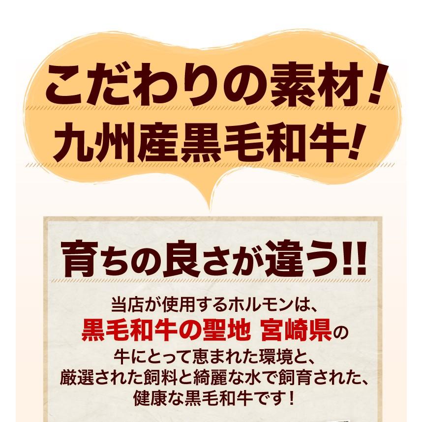 ホルモン 牛 博多 和牛小腸 九州産黒毛和牛 300g(100g x3袋) コプチャン モツ鍋 焼肉 炭火焼き クール