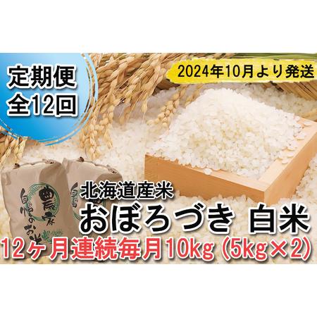 ふるさと納税 ＜ 予約 定期便 全12回 ＞ 北海道産 希少米 おぼろづき 白米 計 10kg (5kg×2) ＜2024年10月より配送＞ 北海道新ひだか町