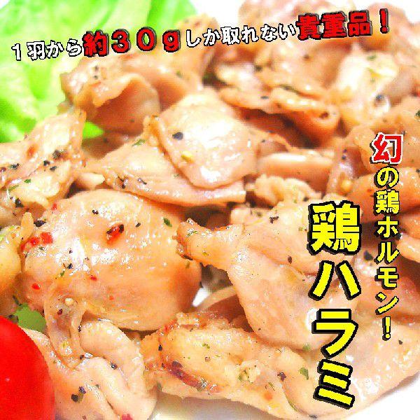 牛・豚・鶏ホルモン焼肉セット！