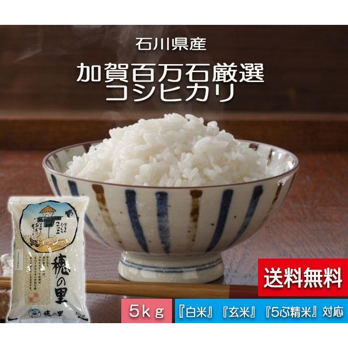 令和5年産 新米 お米 5kg 石川県産 加賀百万石 厳選 コシヒカリ 白米 玄米