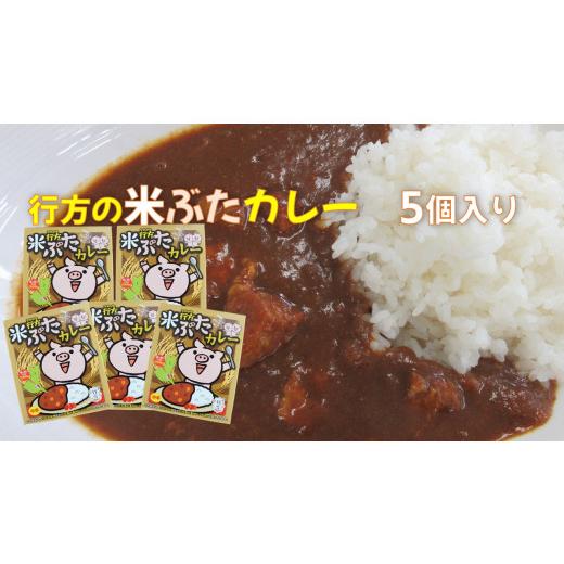 ふるさと納税 茨城県 行方市 CU-15 行方の米ぶたカレー（中辛）5個