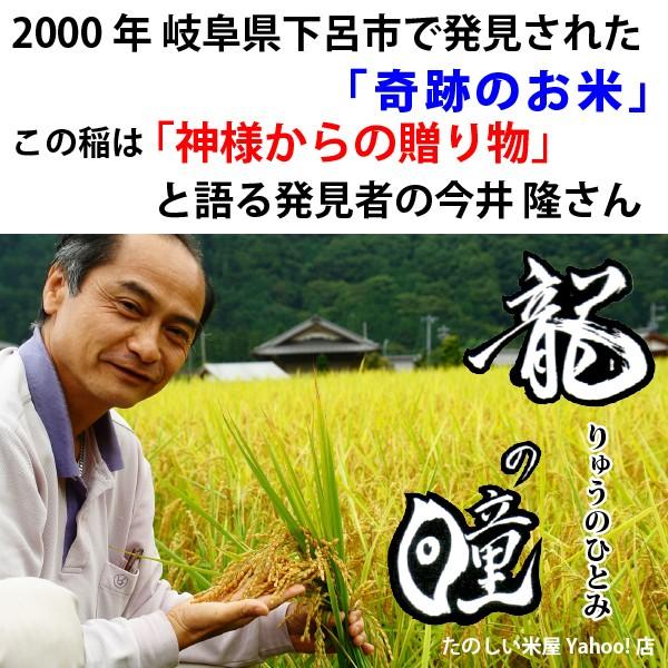 新米 龍の瞳 5kg　岐阜県産 令和5年産米　白米　ご注文後に精米・発送 送料無料（一部地域加算送料）