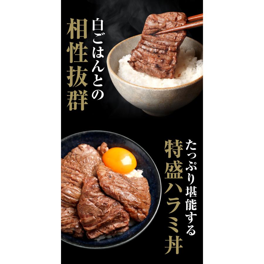 ハラミ 焼肉 はらみ 牛はらみ 厚切りハラミ 肉 牛肉 ハラミステーキ 