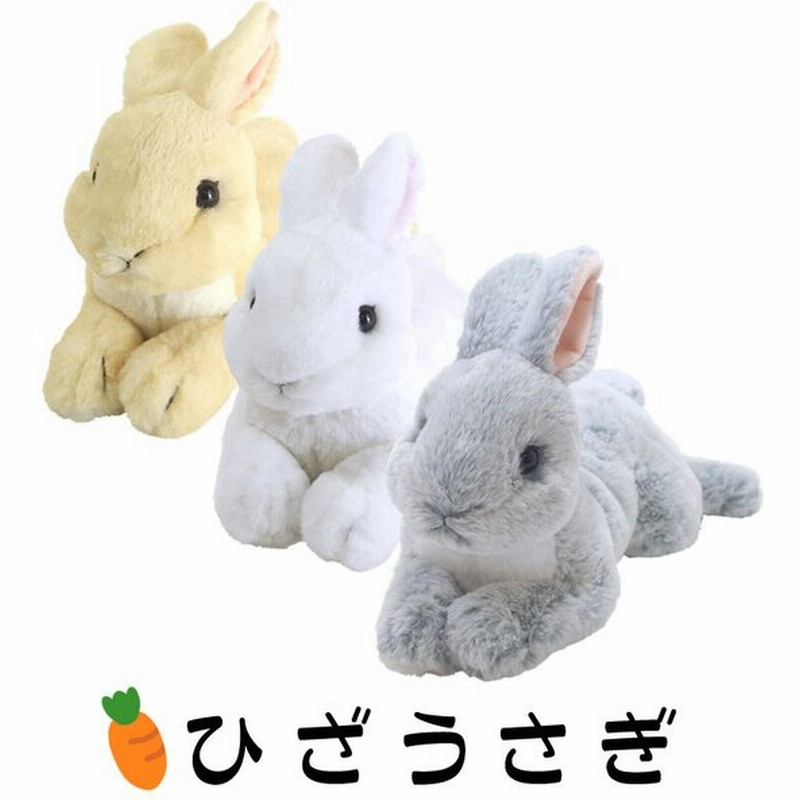怪しい 心配 激しい うさぎ 飼育 おもちゃ わずかな 着替える メッシュ