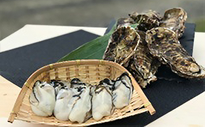 漁師直送 北海道 オホーツク サロマ湖産 牡蠣 むき身 食べ比べ 1kgセット