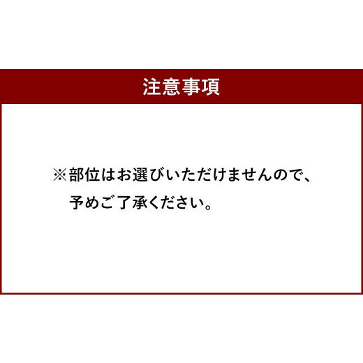 ふるさと納税 福岡県 直方市 博多和牛 切り落とし 1kg 牛肉 牛バラ