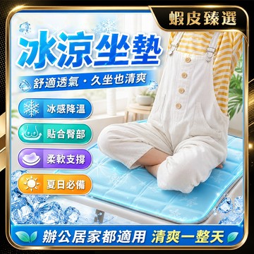 🏆 蝦皮隔日到🏆 現貨免運 汽車坐墊 TPE冰感坐墊 水感凝膠坐墊 涼感坐墊 冰涼坐墊 辦公室椅墊 沙發坐墊 地板坐墊