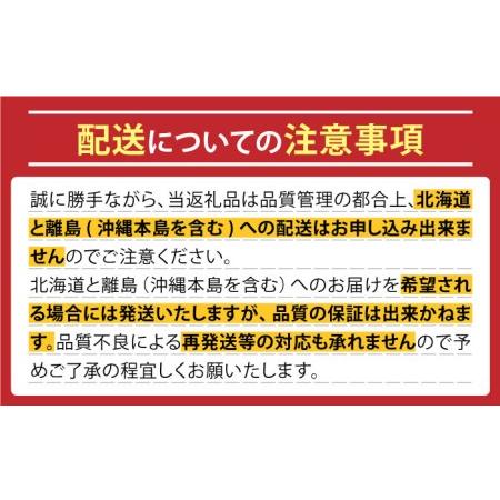 ふるさと納税 アイコトマト 約 1kg [SCB039] 長崎県南島原市