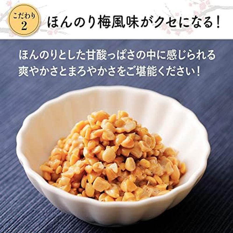 国産ひきわりスティック納豆 カツオ風味（20g×120本） 手が汚れない 味自慢 たんぱく質 カルシウム ナットウキナーゼ 冷凍保存商品 ひ