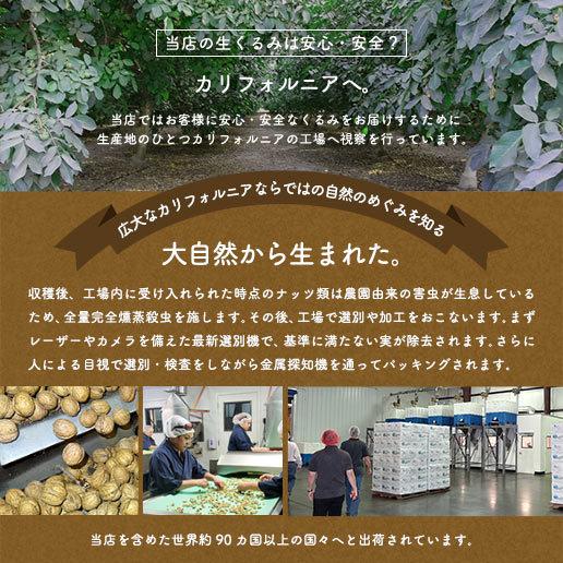 ナッツ くるみ 無添加 生くるみ 350g クルミ 胡桃 送料無料 訳あり ポイント消化 SALE 非常食