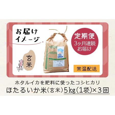 ふるさと納税 ほたるいか米（玄米５kg）×3回 計15kg  富山県滑川市