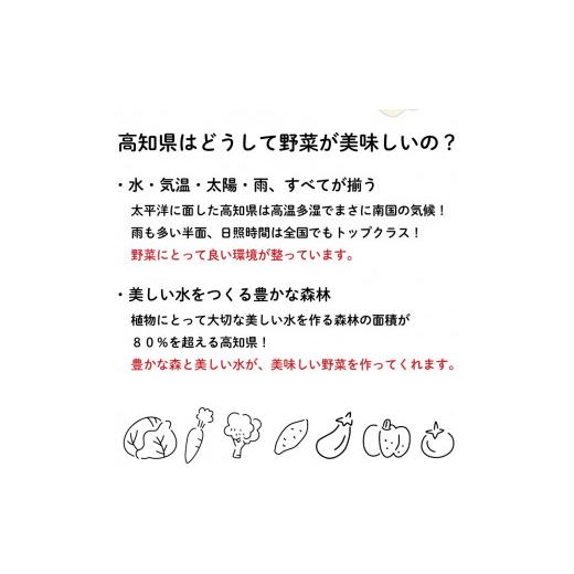 ふるさと納税 高知県 須崎市 定期便 年6回 野菜 旬 セット お楽しみ 約 8品目 やさい セット 旬 春 夏 秋 冬 採れたて 新鮮 農家 直送 詰め合わせ 国産 野菜…