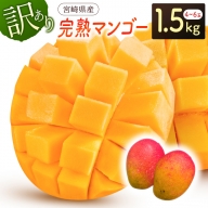 ＜数量限定＞宮崎県産 訳ありマンゴー（3～5玉）約1.5kg