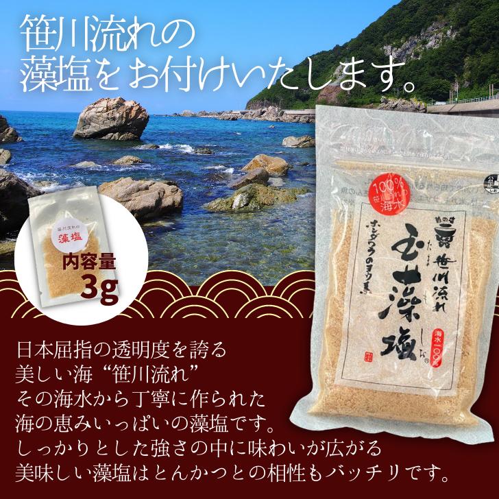 冷凍 とんかつ 和豚 もちぶた とんかつ 3種 ギフト ロース モモ メンチかつ 送料無料 国産 豚肉 ギフト レンジ 冷凍食品 美味しい とんかつ プレゼント