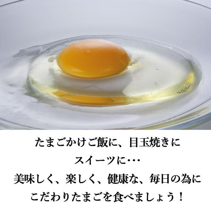 手づくり卵農場 平飼い卵 紅輝卵 こうきらん 30個入り 山形県産 クール便