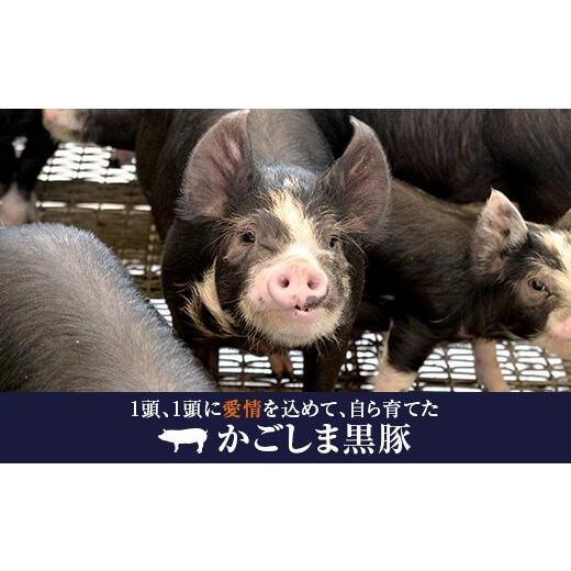 ふるさと納税 鹿児島県 薩摩川内市 GS-007 かごしま黒豚 ロース味噌漬け・塩麹漬け 各4枚×4回お届け 薩摩八重ファーム みかく亭