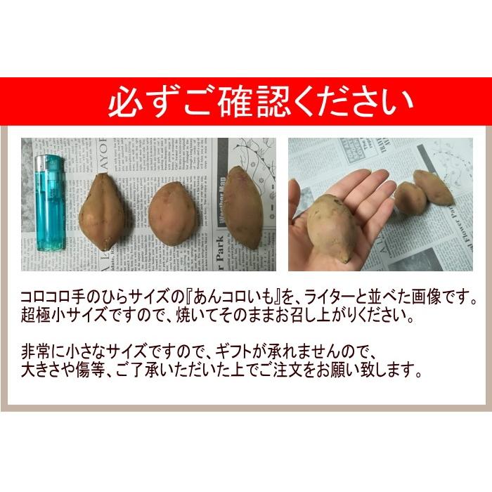 （2セットで500円OFFクーポン）小さな安納芋1.5kg　種子島産　ご家庭用　訳あり