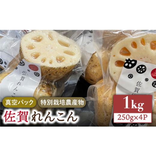 ふるさと納税 佐賀県 江北町 ＜地元江北町産＞佐賀 れんこんパック 1kg 250g×4  [HAE013]