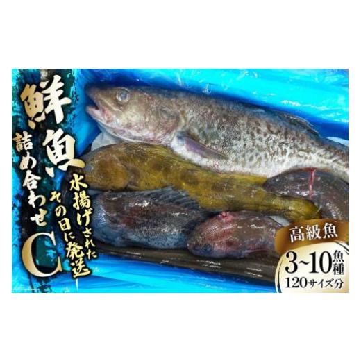 ふるさと納税 宮城県 気仙沼市 鮮魚 詰め合わせ C 3〜10高級魚種 120サイズ分 産地直送 旬 魚介 魚 さかな   さんりくみらい   宮城県 気仙沼市 [20560762]