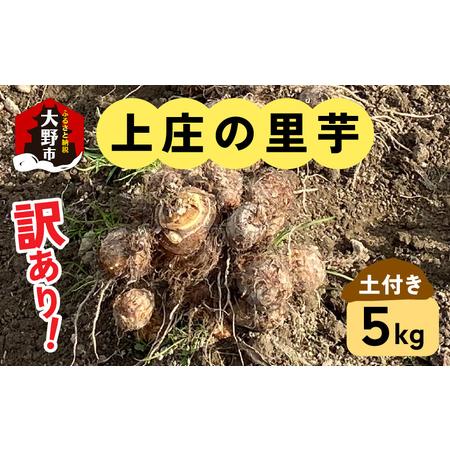 ふるさと納税 訳あり！上庄の里芋　5kg 福井県大野市