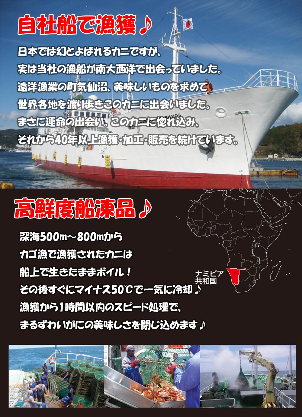 かに カニ 蟹 まるずわいがに（オオエンコウガニ） 肩付脚 総重量2.5kg 正味重量2kg  訳あり 丸ズワイガニ ボイル 脚 足 ギフト 御歳暮