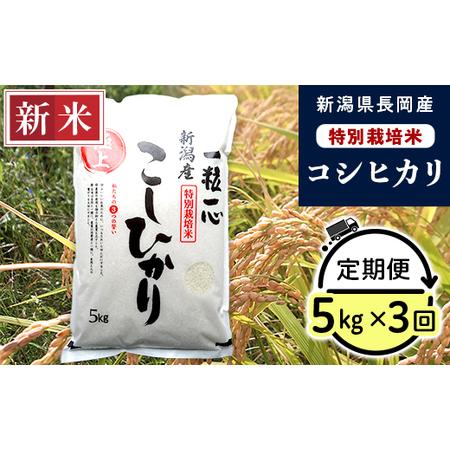 ふるさと納税 48-053新潟県長岡産特別栽培米コシヒカリ5kg 新潟県長岡市