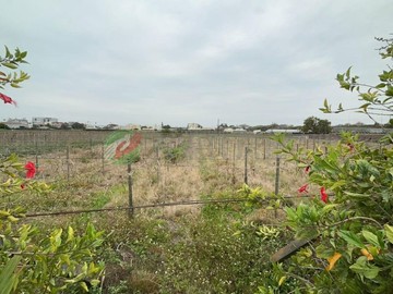 ^澐飛揚推薦彰化溪湖頂庄段方正近千坪農地｜彰化縣溪湖鎮頂庄段