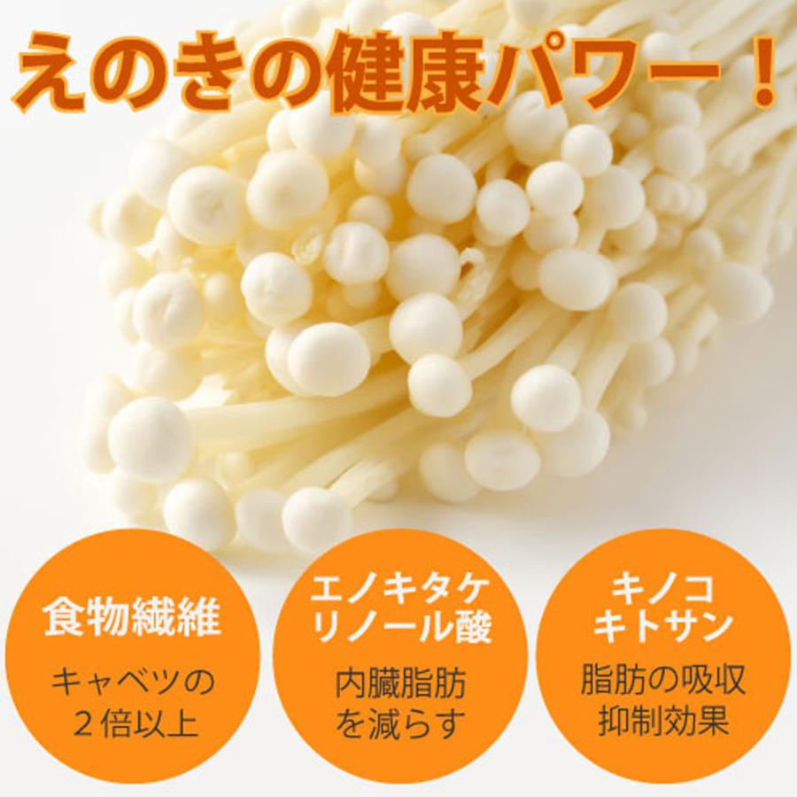 えのきパウダー 佃煮 各3袋セット 国産 九州 鹿児島 乾燥 きのこ エノキ えのき ヘルシー 健康 おつまみ