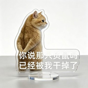 🏆臺灣本土直出🏆可愛爆款負鼠表情包亞克力立牌治癒辦公臥室裝飾桌面擺件飾品禮物