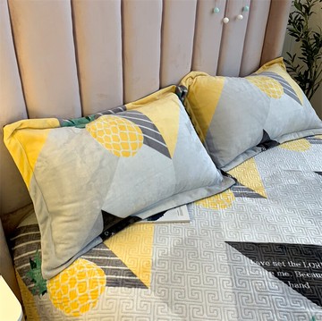 ins加厚牛奶珊瑚絨枕頭套單個冬季網紅枕芯內膽套大號48x74一對裝