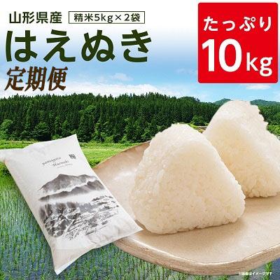 ふるさと納税 新庄市 山形県産はえぬき精米5kg×2袋全3回