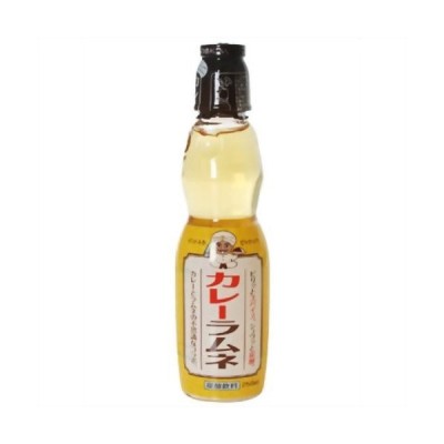 カレーラムネ 250ml 30本 木村飲料 代引不可 通販 Lineポイント最大0 5 Get Lineショッピング