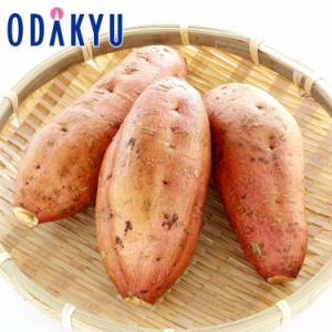 さつまいも  いも 送料無料  ねっとり食感×濃厚な甘さ♪ 鹿児島県産 安納芋 ２ｋｇ※沖縄・離島届不可