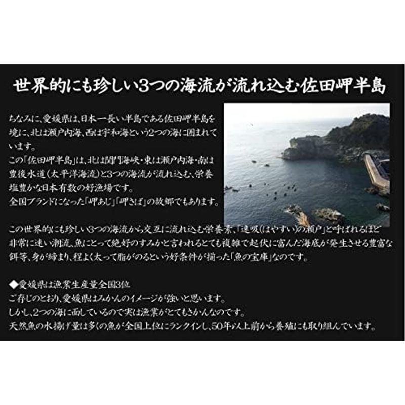 鮮度抜群CAS冷凍品天然魚 宇和海朝獲れ鮮魚の「一夜干し13枚セット」(真鯛1枚、メイタカレイ2枚、アマダイ2枚、カマス3枚、釣アジ3枚、ス