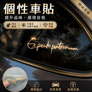 日系車貼💫 金屬質感汽車裝飾貼 不伤車漆易撕除全車型通用改裝車貼 個性簡約風汽車側窗裝飾貼 汽車貼紙 車身貼紙 車身裝飾