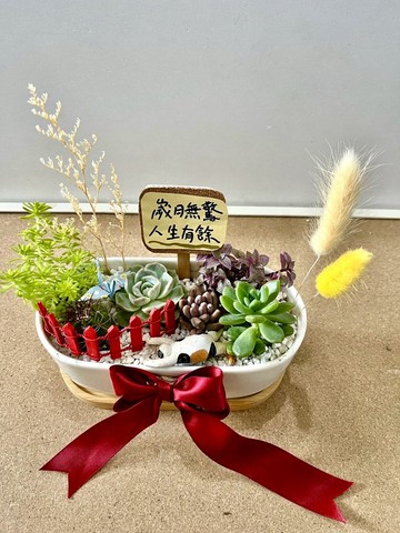 多肉組盆 多肉植物 日式枯山水 三花貓 玳瑁貓 貓奴送禮 貓咪 禪